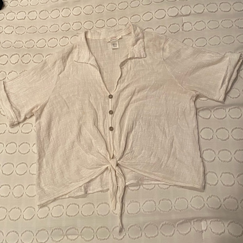 Urban Romantics Collared Self Tie Blouse